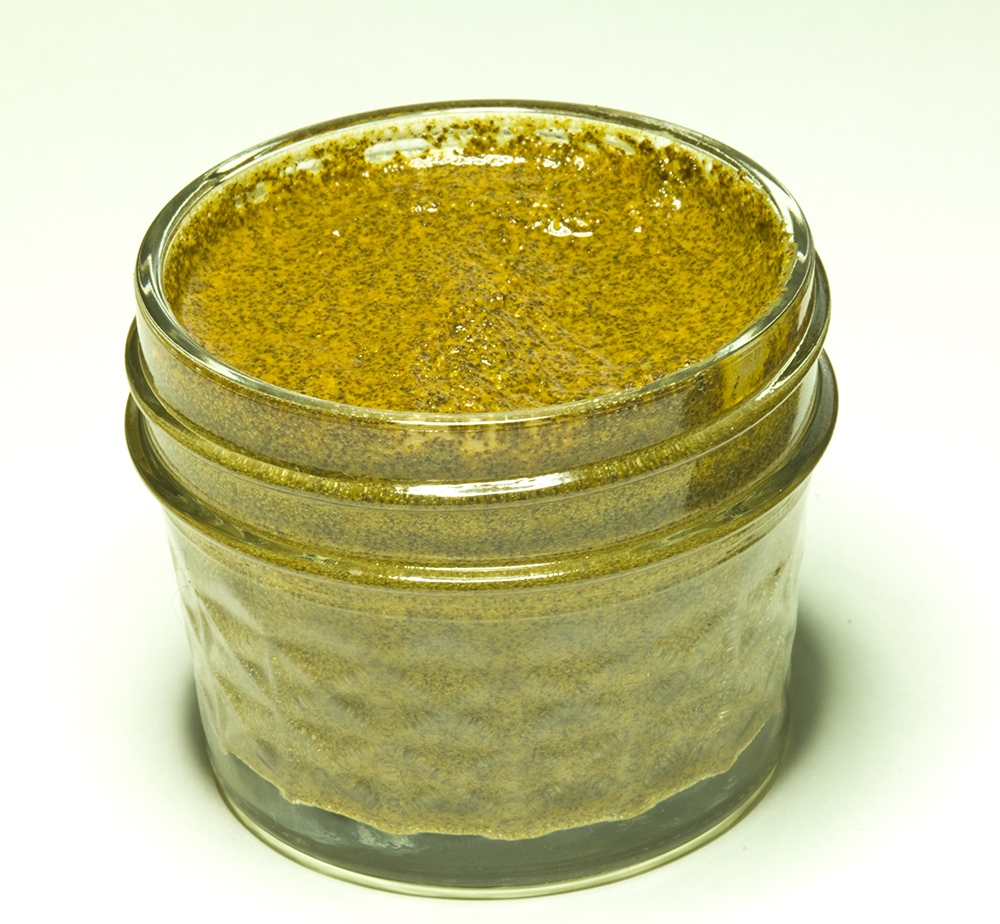 The 3 Foragers Foraging for Wild, Natural, Organic Food Garlic