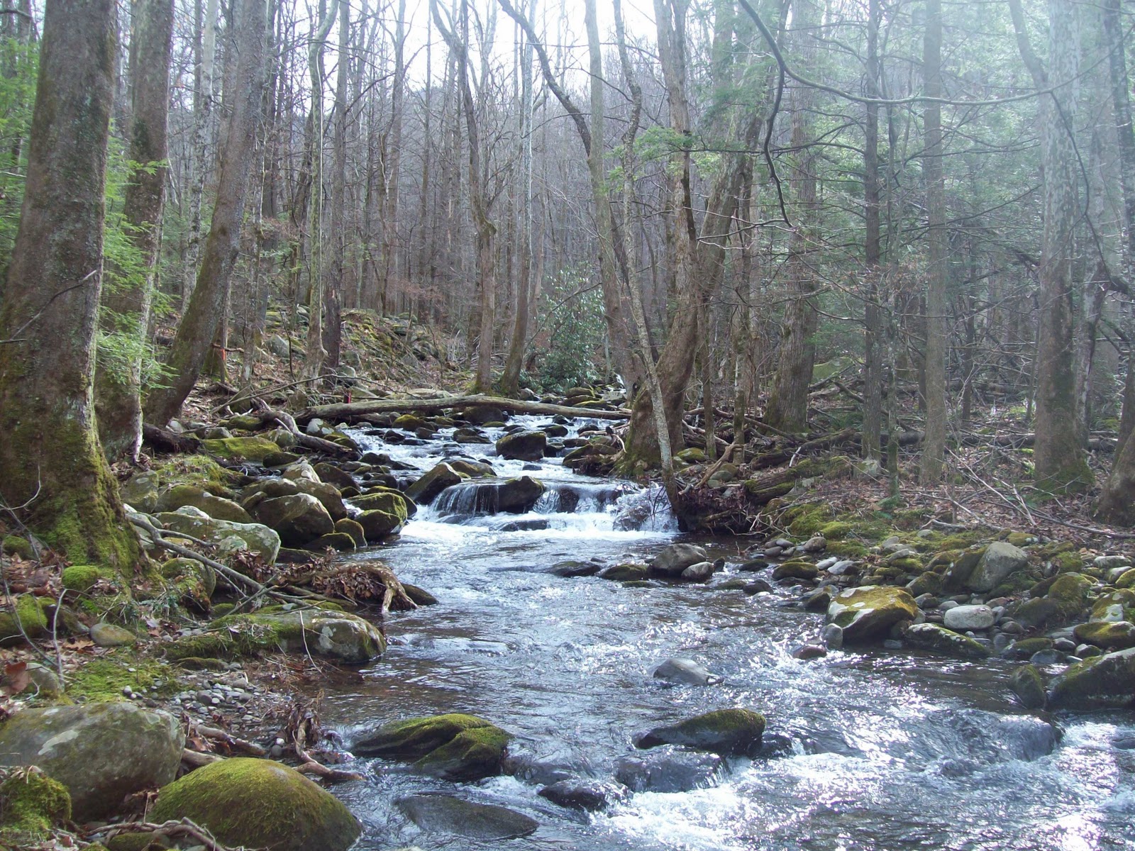 900 miles Birthday Hike Twin Creeks Trail