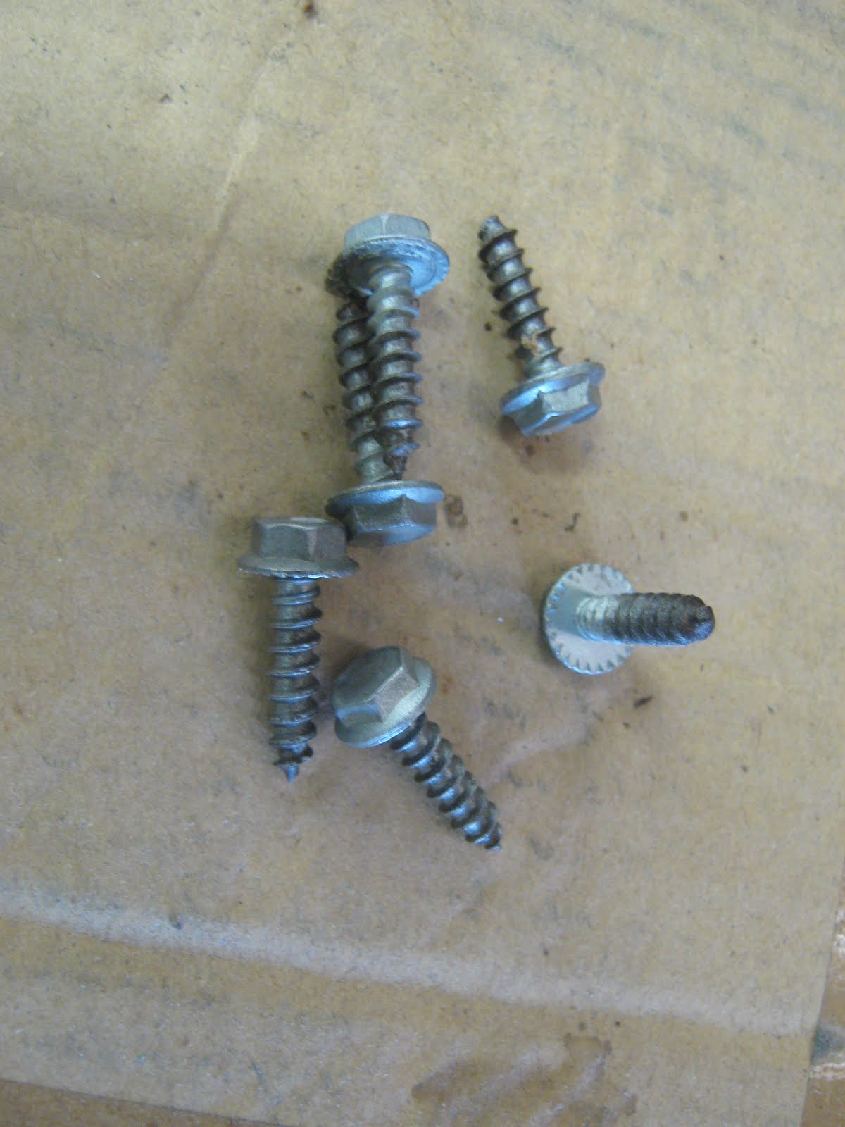 HQ SS BOLTS: Tail light screws all HQs