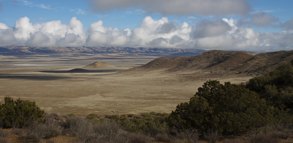 Carrizo Plain Christmas Bird Count results are in... Morro Coast