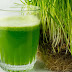 Wheat Grass Juice – The Facts