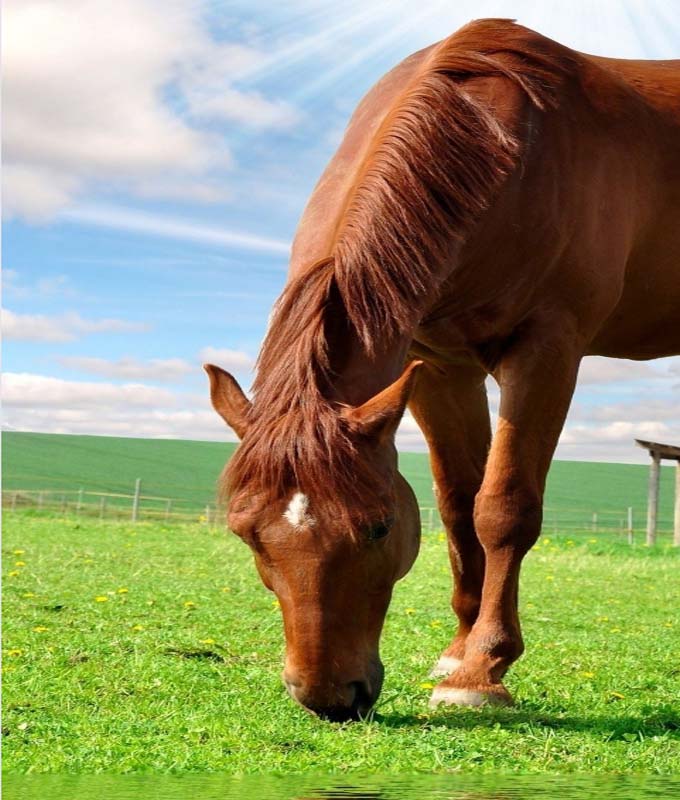 Mix wallpapers Allfreshwallpaper