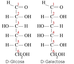 Resultado de imagen de epimeros glucosa galactosa