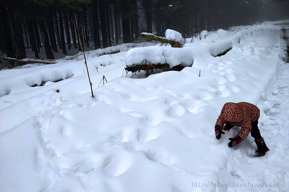 Top 5 Best places to see snow in Belgium My Travelogue Indian