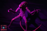 NECA Xenomorph Warrior Arcade Appearance 20