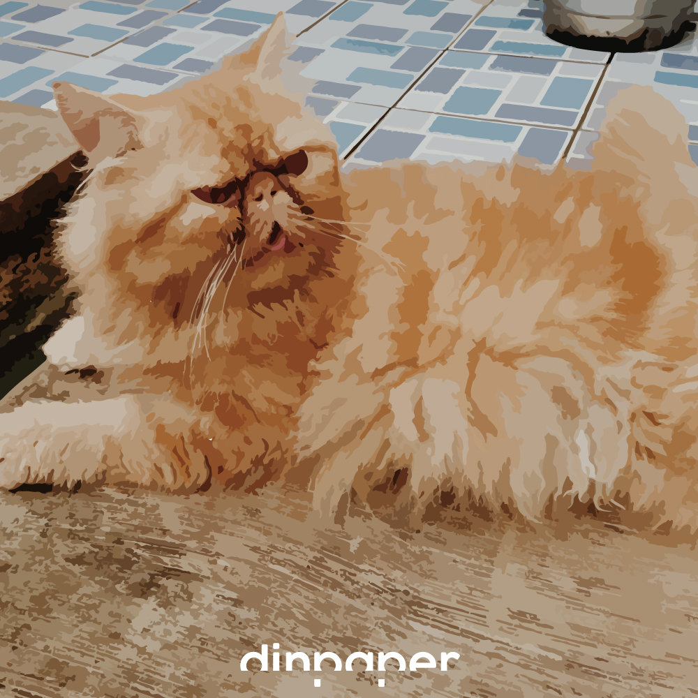 Kucing Saya Kok Ngak Sange An Dinpaper Useless But Important