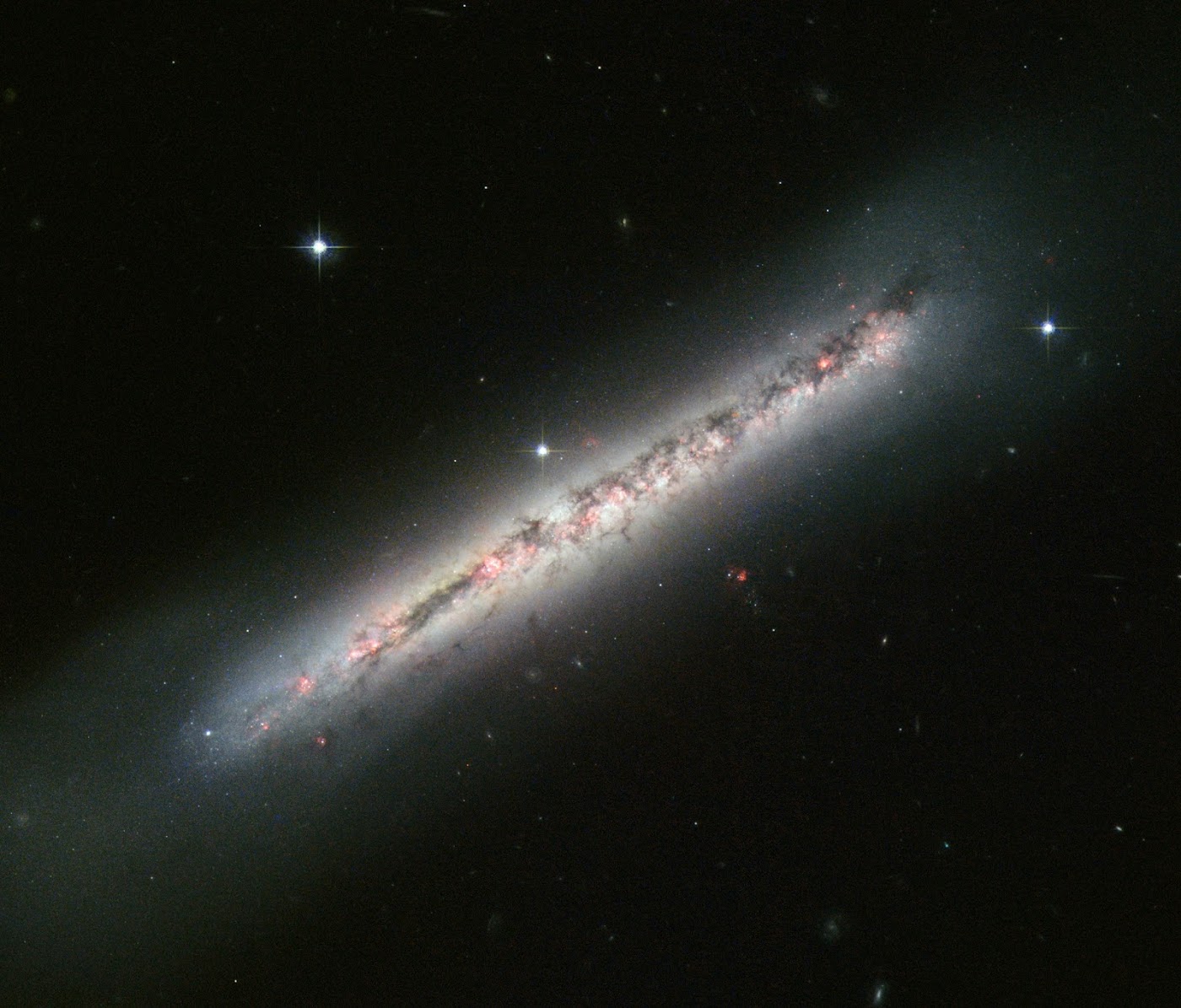 Spiral Galaxy NGC 1559