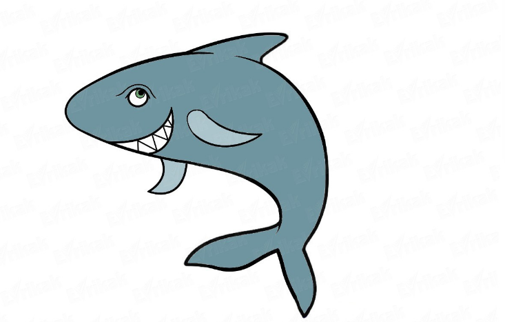 Cara Menggambar Hewan Laut Terlengkap Untuk Anak