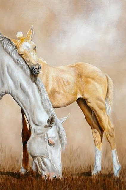 caballos-hermosos-imagenes