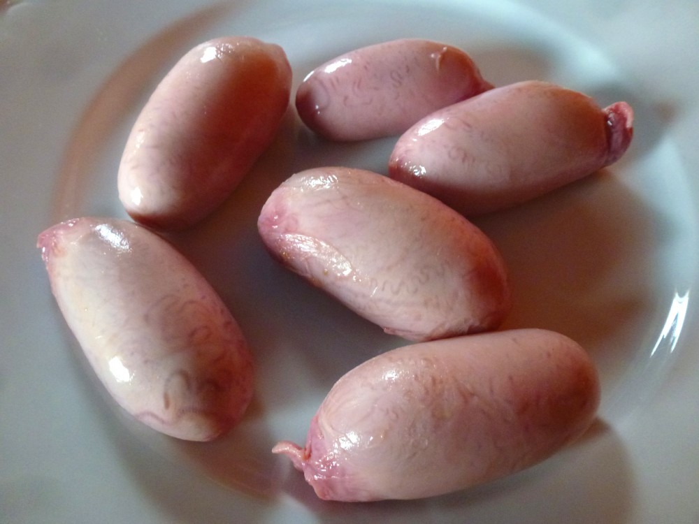 The Field Lab It's What's For Dinner