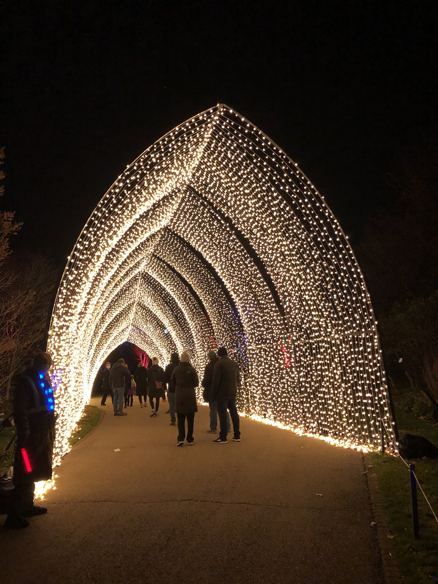 A Little Time And A Keyboard Dazzled By Nature Inspired Holiday Lights At Chicago Botanic Garden S Lightscape