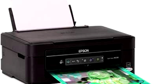 epson nx230