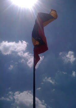 Sol y Bandera