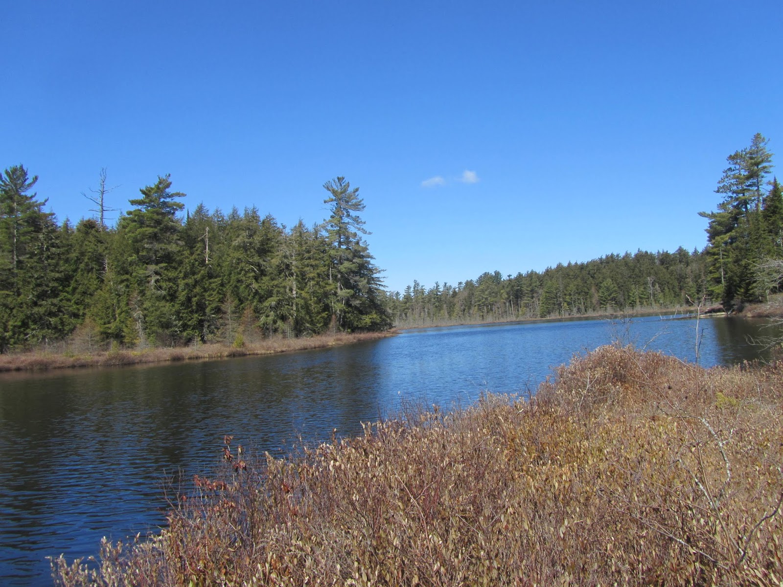 Tomcat's Outdoor Adventures Hiking the Floodwood Loop