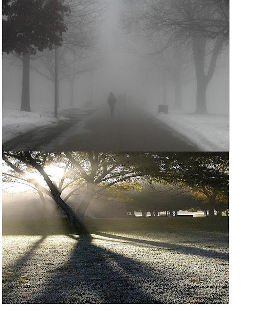 Poesias Cuentos y Prosas para el mundo ¿ QUE ES LA NEBLINA?