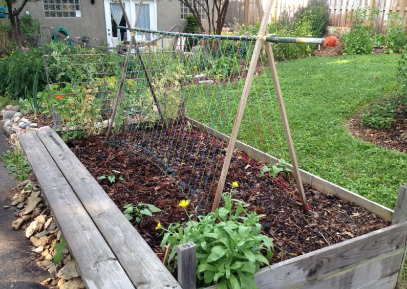 26 Growing Zucchini on a Trellis Domaci Design