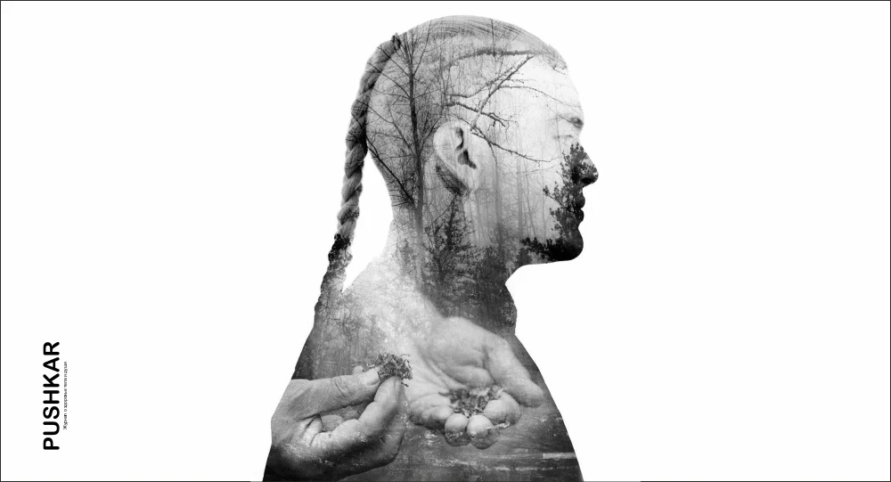 ТРАДИЦИОННЫЕ ИНДЕЙСКИЕ РЕЦЕПТЫ ТРАВ ДЛЯ ЛЕЧЕНИЯ РАКА И ДЕТОКСИКАЦИИ - FLOR ESSENCE И ESSIAC.