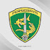 Download Persebaya Surabaya Vector Logo