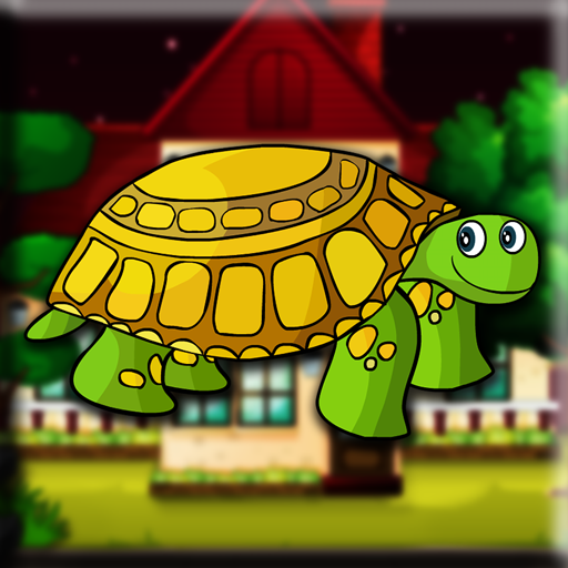 Small Turtle Escape Walkthrough