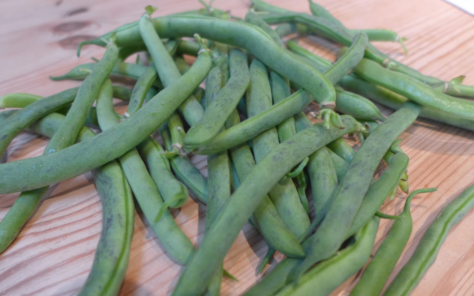 Basicallyitsgrowing Dwarf beans productive and tasty, the perfect bean!