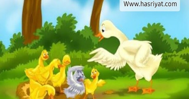 البطة الحزينة