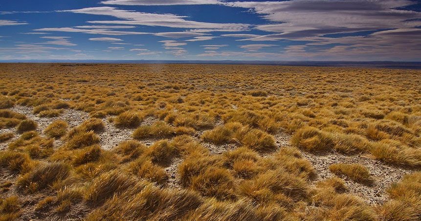 La Estepa Patagónica Portal La TDF