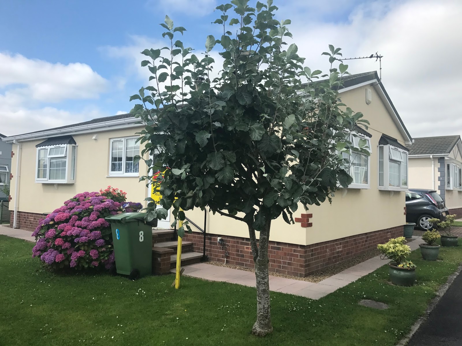 Greenfield Park Homes Park Homes For Sale