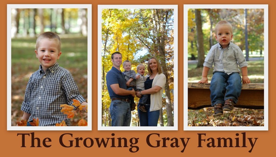 The Growing Gray Family