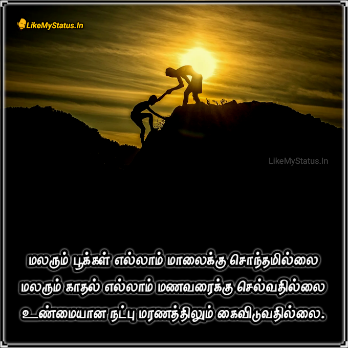 மலரும் பூக்கள் எல்லாம்... Tamil Friendship Quote Image...