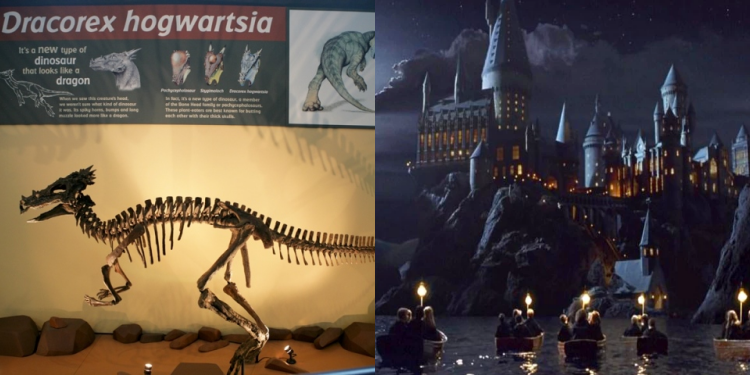 Dinosaur Harry Potter Name