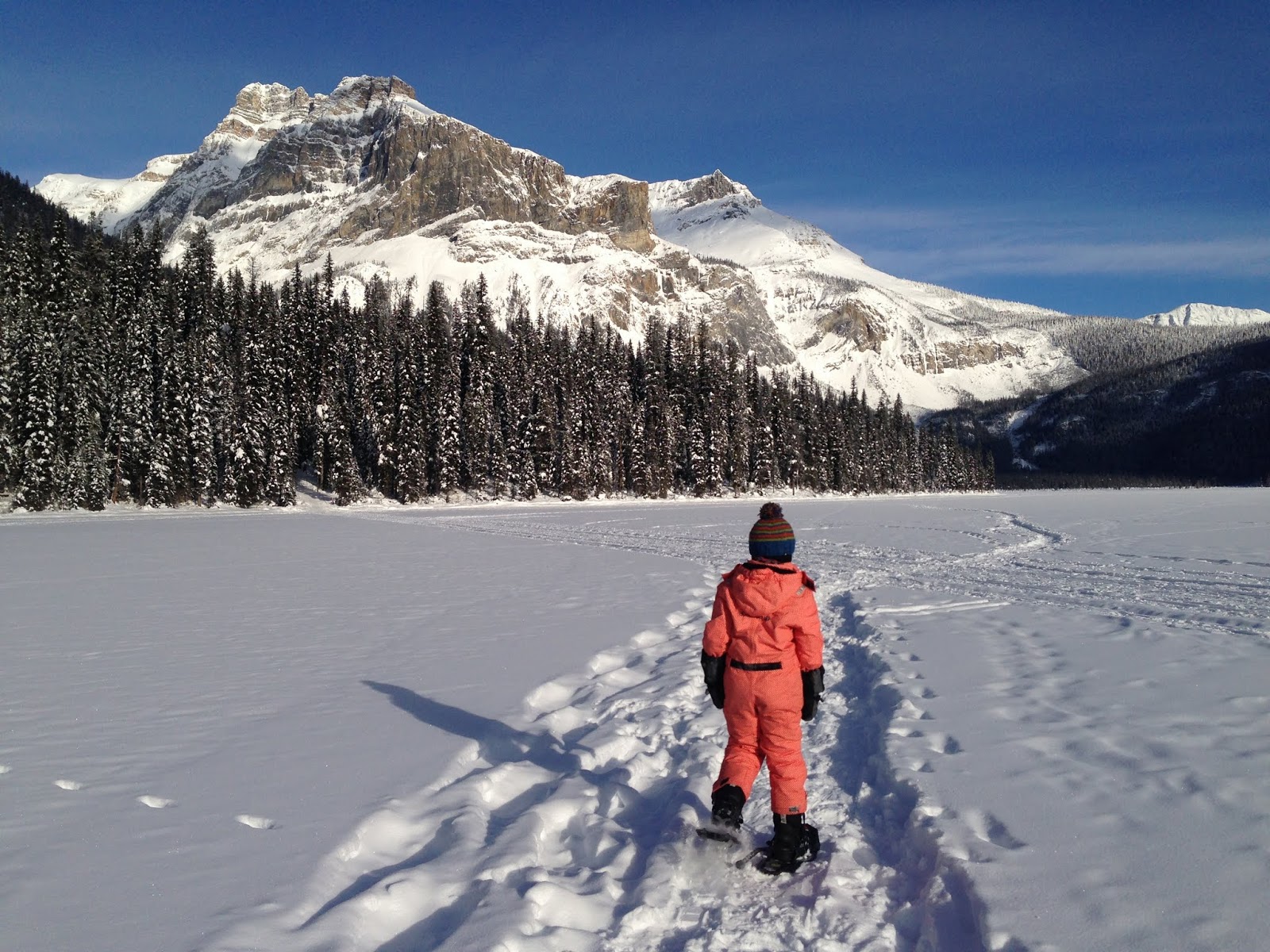 Family Adventures in the Canadian Rockies Family Snowshoeing Super Guide