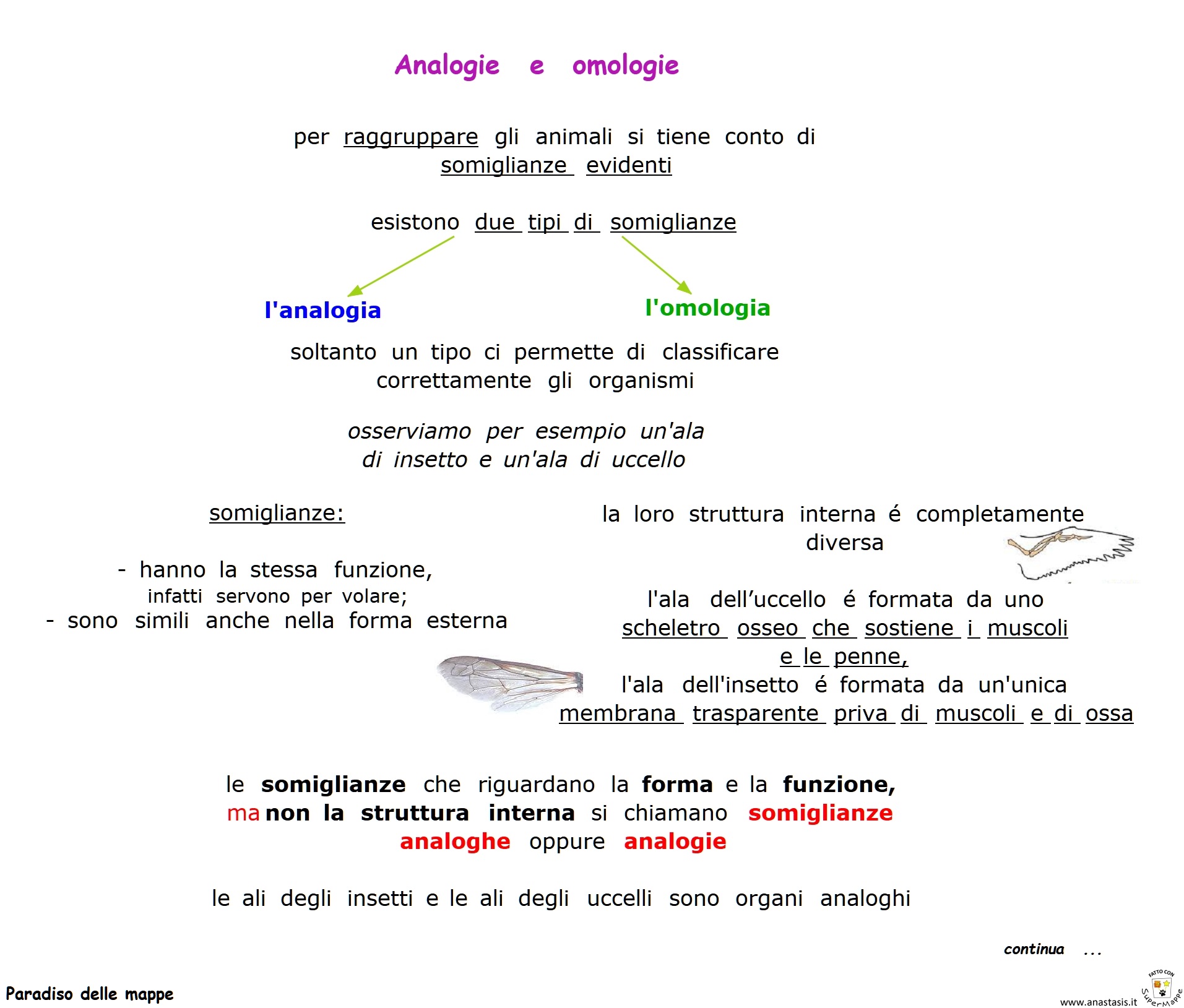 Paradiso delle mappe Analogie e omologie prima parte Paradiso delle mappe Analogie e omologie prima parte