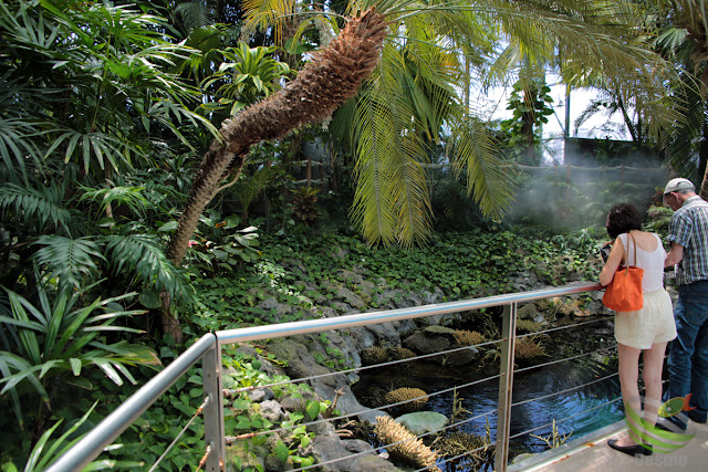 リスボン水族館