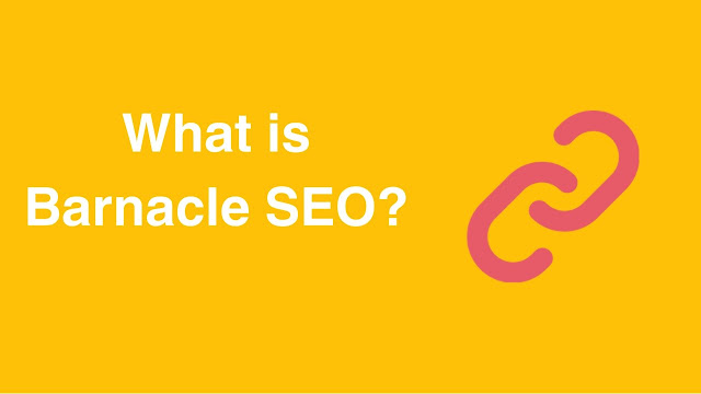 What's Barnacle SEO & Why its Important !! 