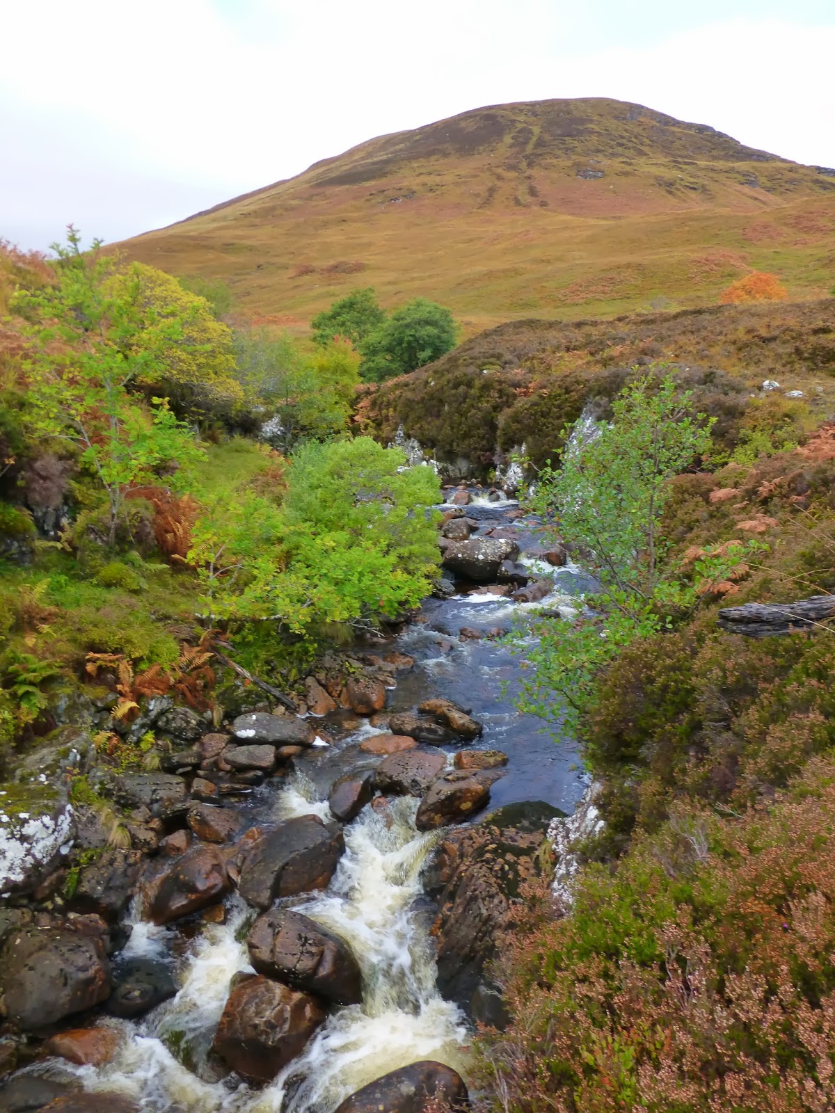Big Gorse Bush Carn nan Gobhar and Sgurr na Lapaich.