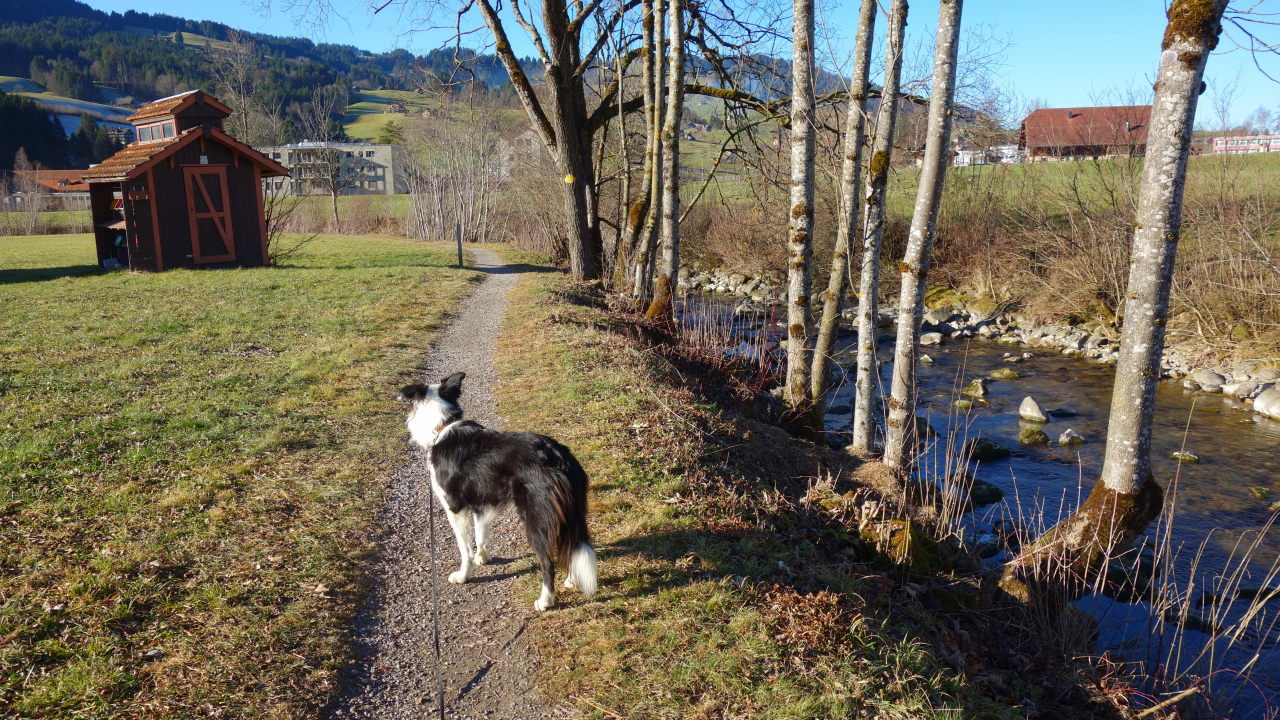Bilder und Texte zu meinen Wanderungen mit Hund Auf dem Thurweg von