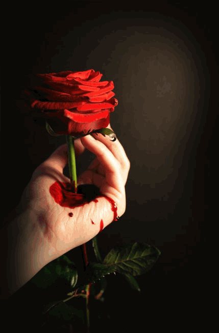 flor%2Bchorando.gif