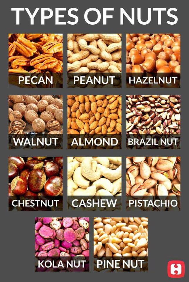 ESL California Types of Nuts