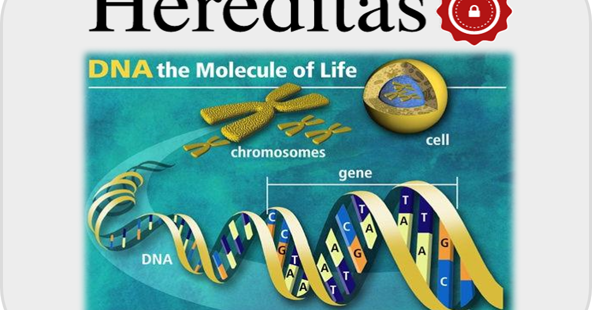 Hereditas Biologi Kelas 12 PanduBio