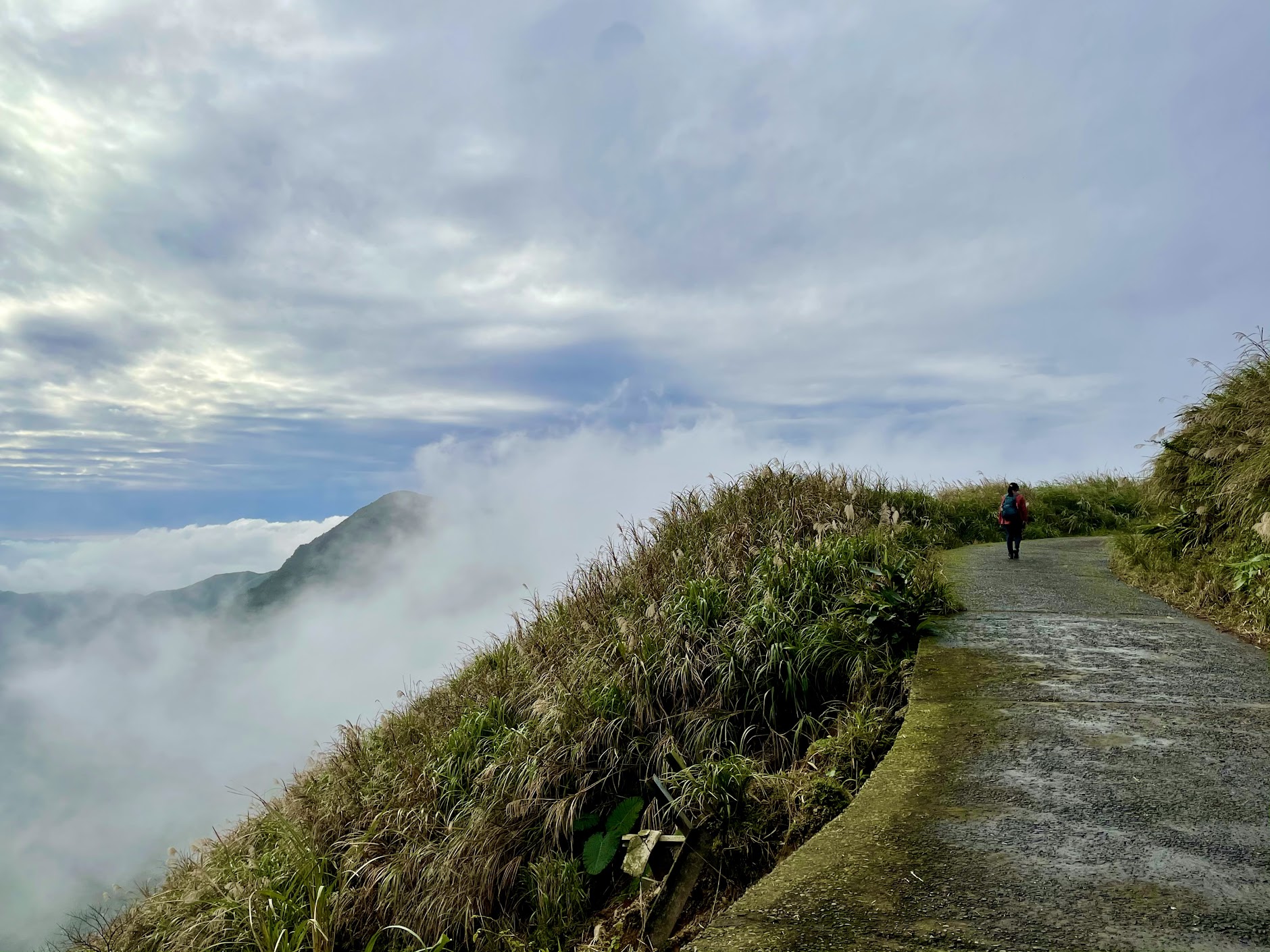 草山戰備道路