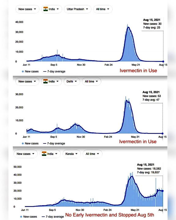 ivermectin success in India