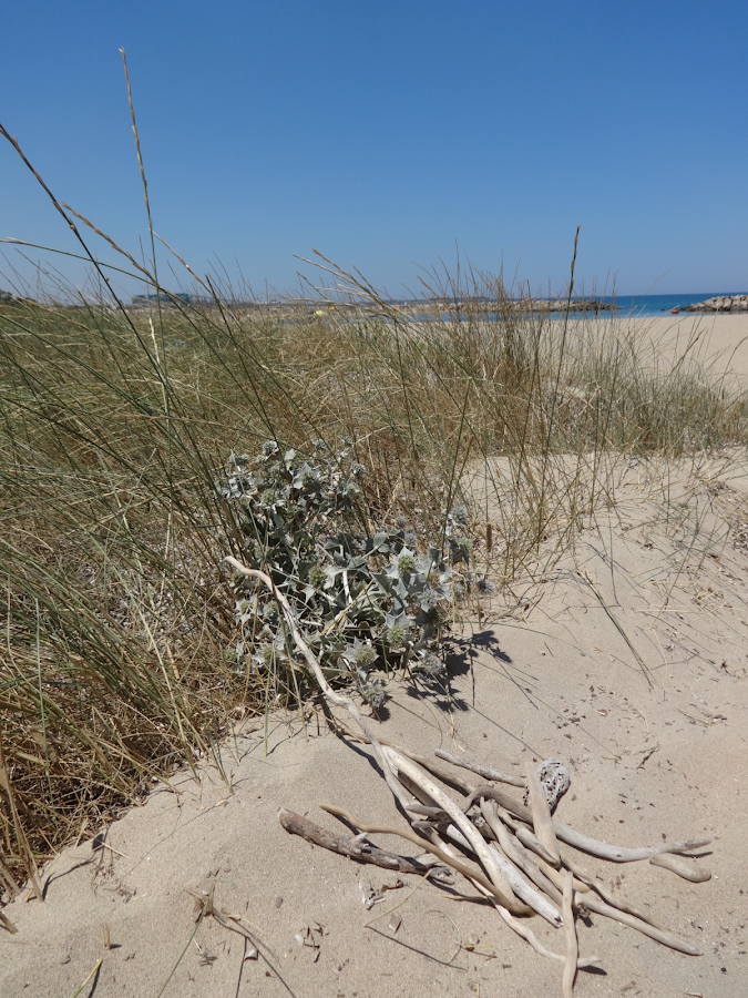 Barco de madera flotante - Tutorial | Manualidades