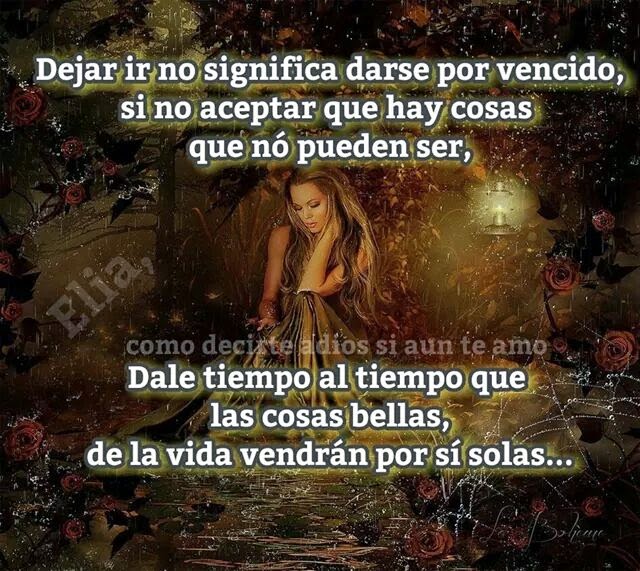COMO DECIRTE ADIOS SI AUN TE AMO: DALE TIEMPO AL TIEMPO Y NO TE ...