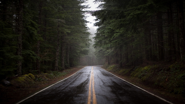 Road wallpaper with rain forest