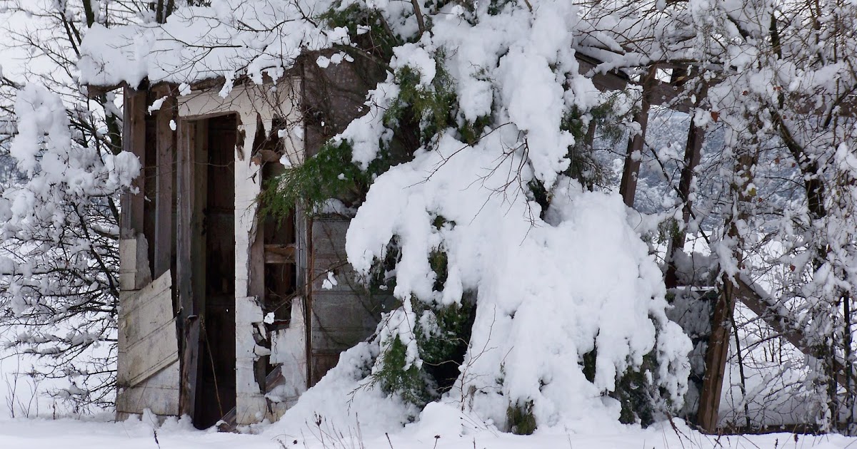 BeNotForgot.com: One year ago today