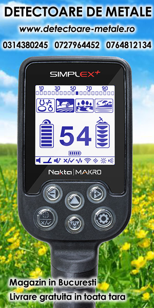 Detectoare metale 1