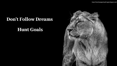 Motivational lion Quotes