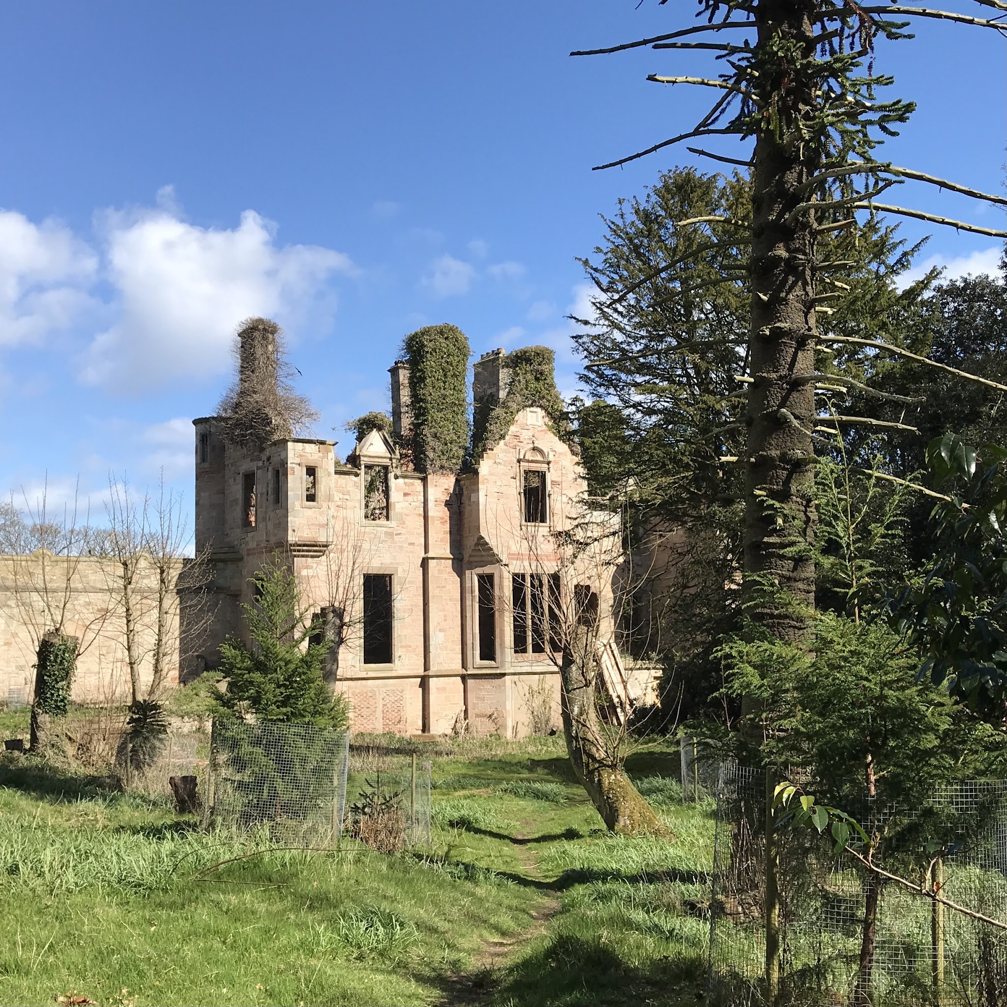 Kevin Nosferatu Skulferatu 30 Seacliff House, North Berwick, East