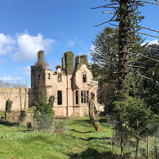 The ruins of Seacliff House, North Berwick, East Lothian.  Photo by Kevin Nosferatu for the Skulferatu Project.