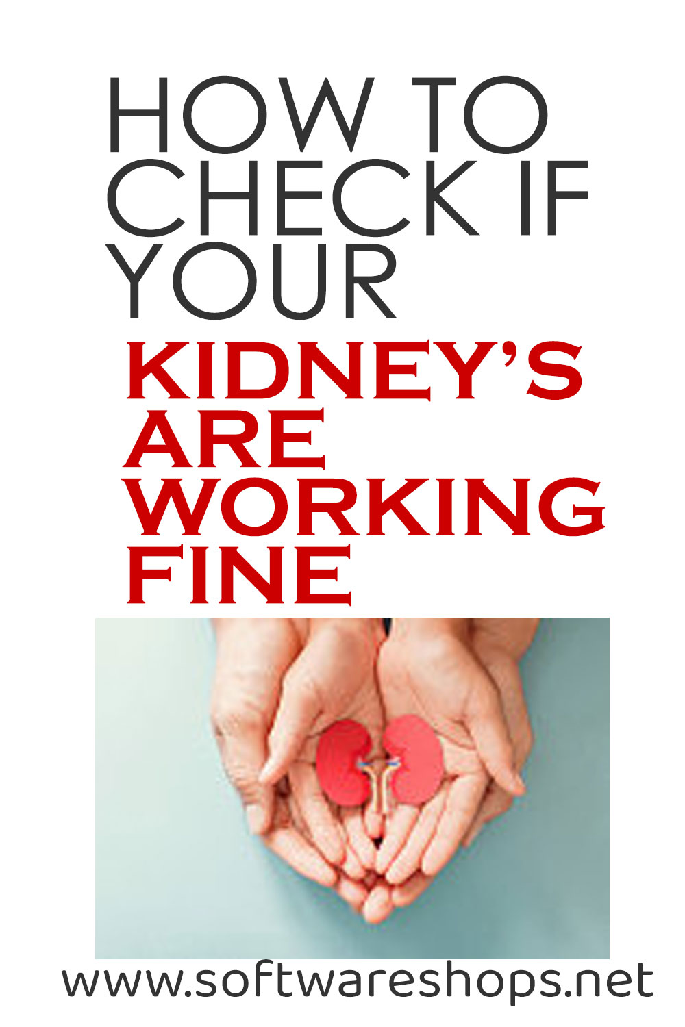 HOW TO CHECK IF YOUR KIDNEYS ARE WORKING FINE